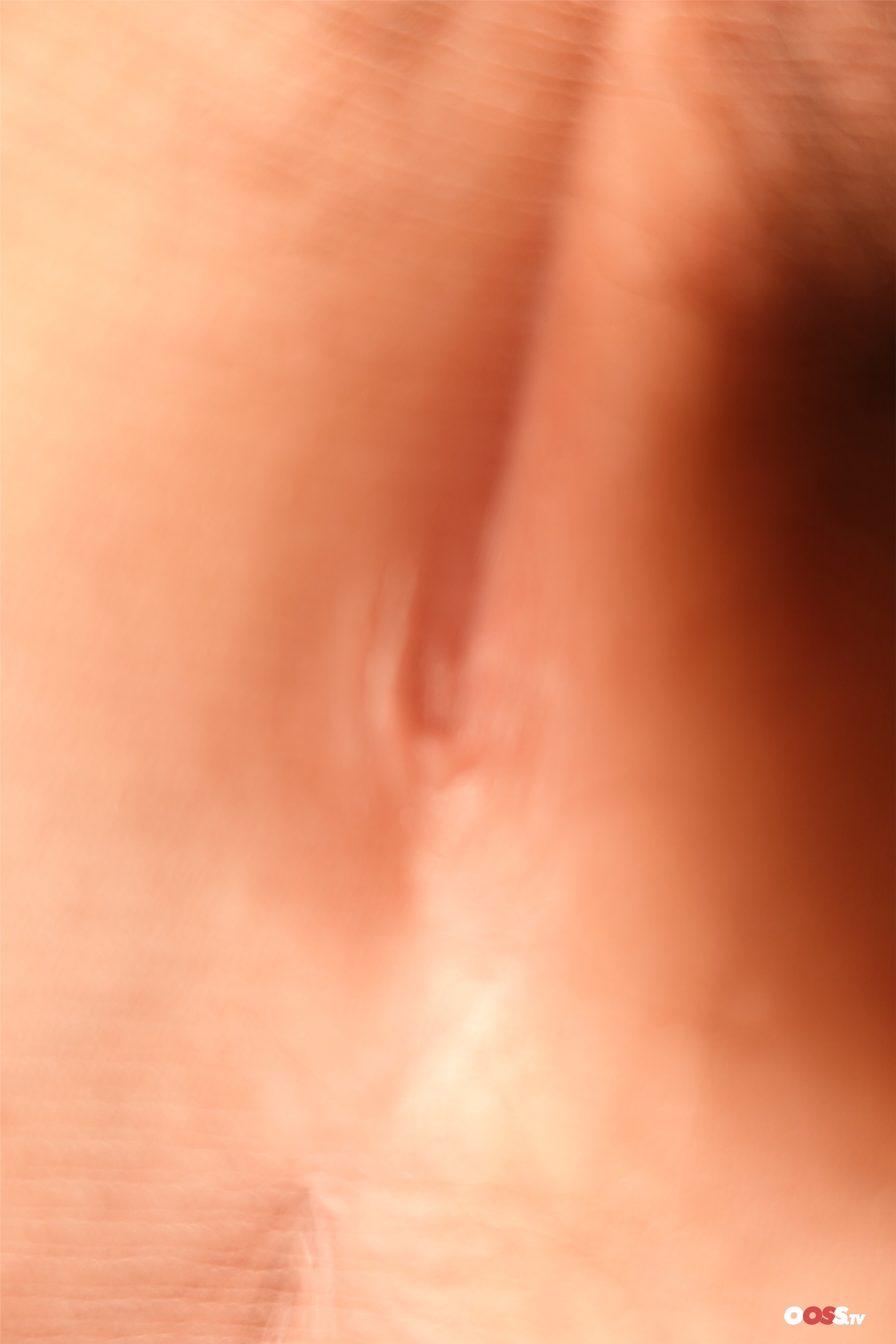 ROSI写真 2020.11.08 NO.3261